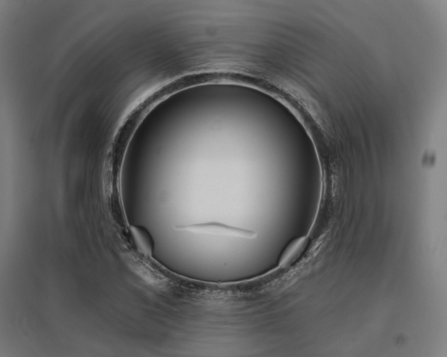 X0000096151069200801181157