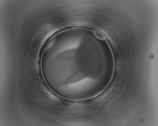 X0000096151071200801181157