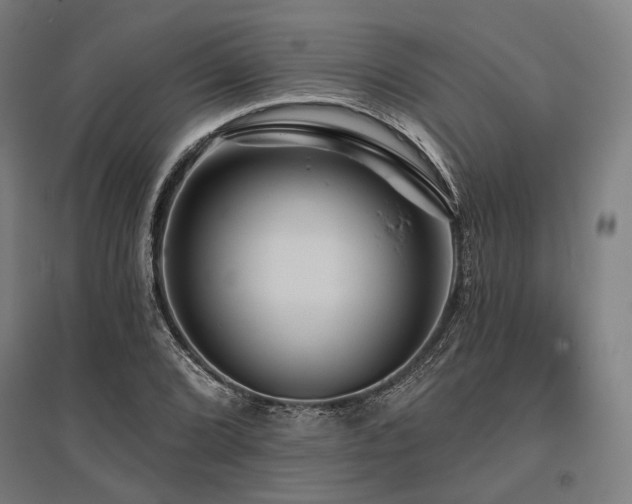 X0000096151072200801181157
