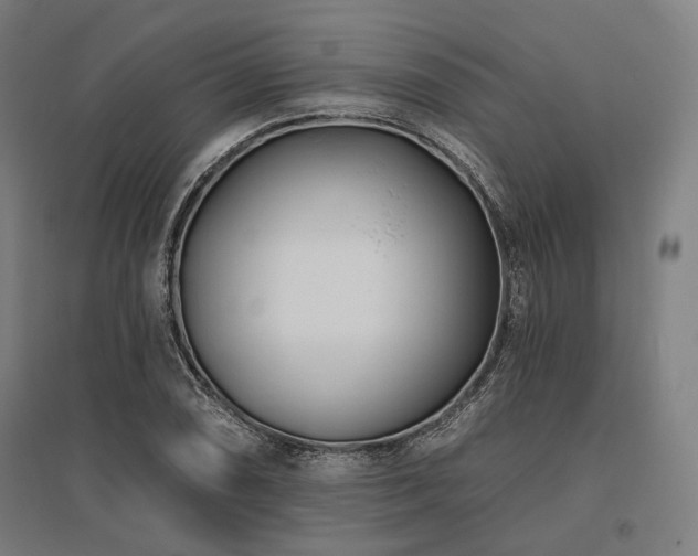 X0000096151074200801181157