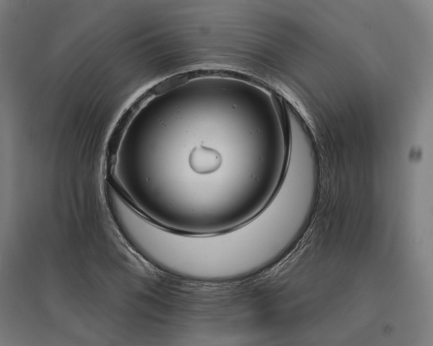 X0000096151076200801181157