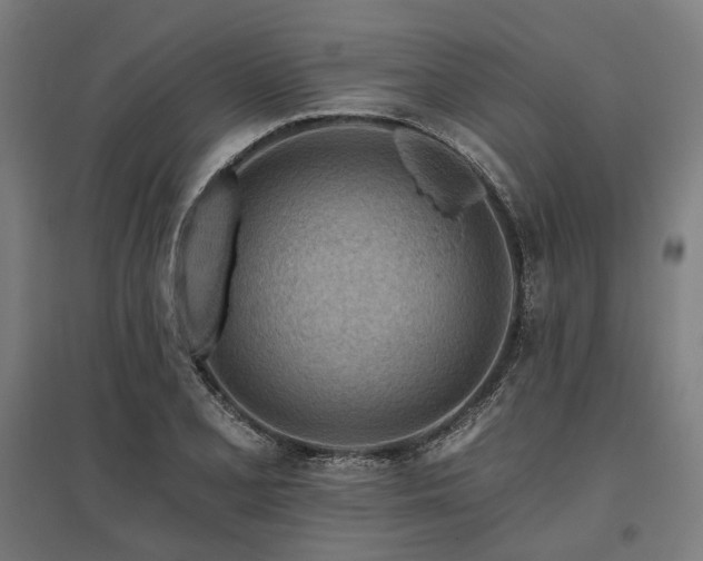 X0000096151077200801181157