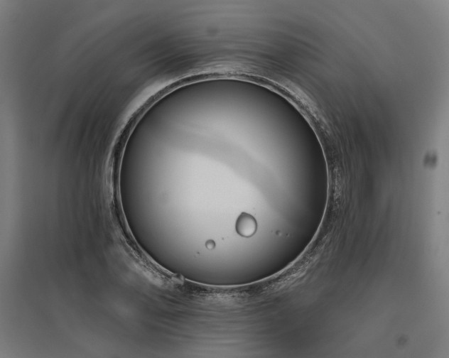 X0000096151078200801181157