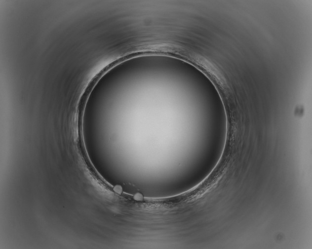 X0000096151079200801181157