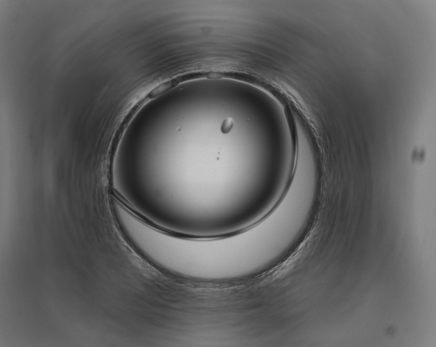 X0000096151081200801181157