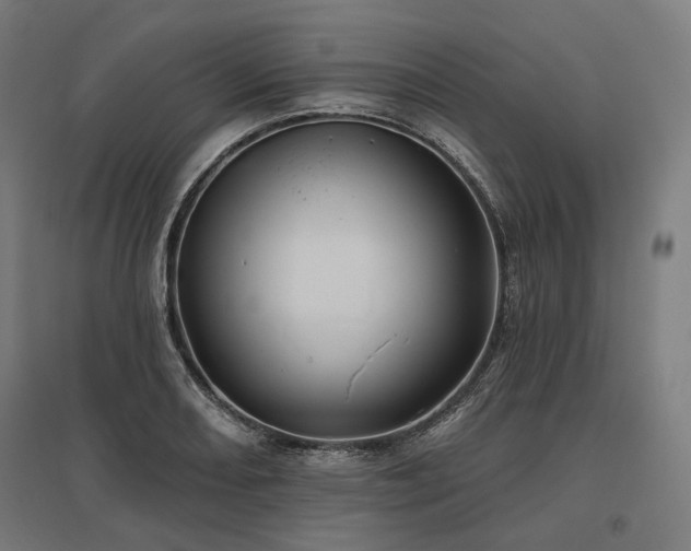 X0000096151082200801181157