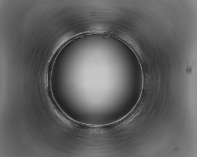 X0000096151083200801181157