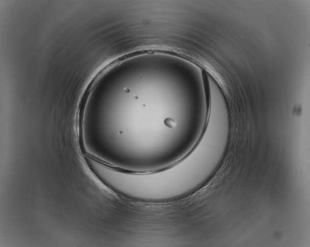 X0000096151084200801181157