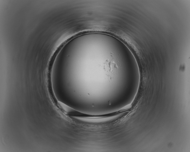 X0000096151085200801181157