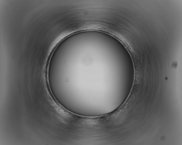 X0000096151086200801181157