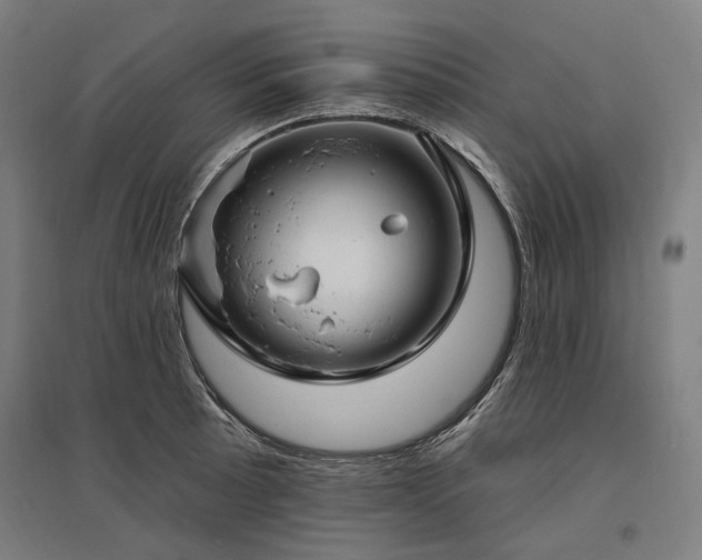 X0000096151089200801181157