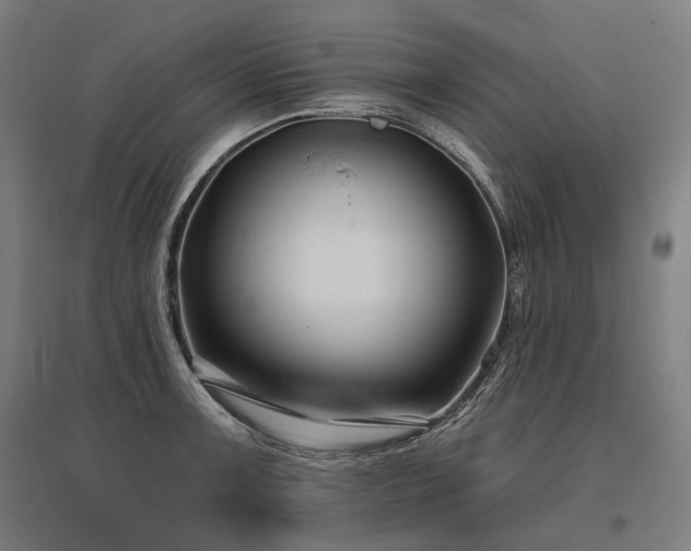 X0000096151091200801181157
