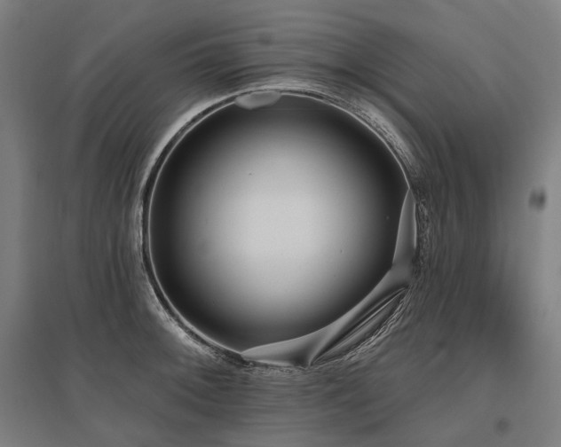 X0000096151092200801181157