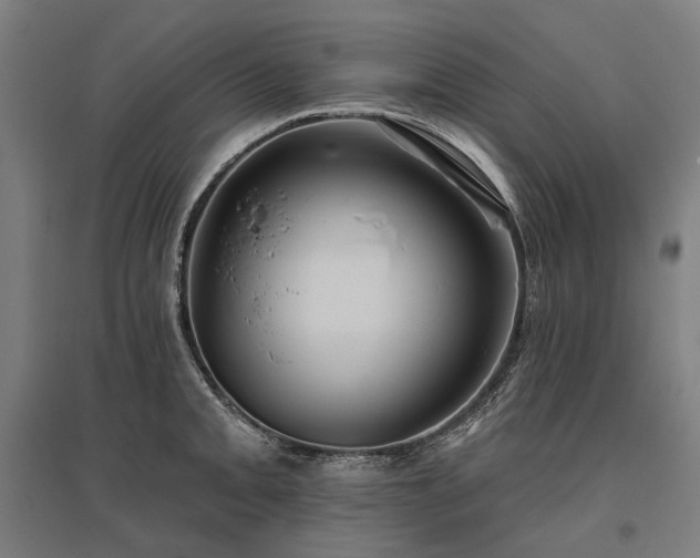 X0000096151093200801181157