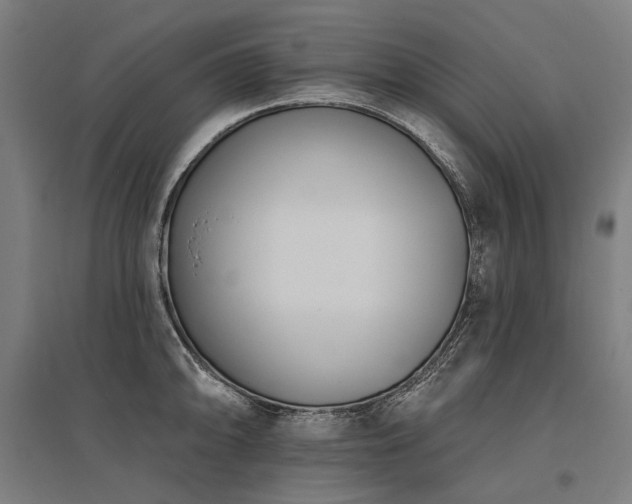 X0000096151094200801181157