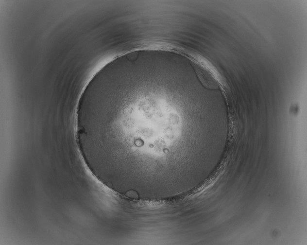 X0000096151095200801181157