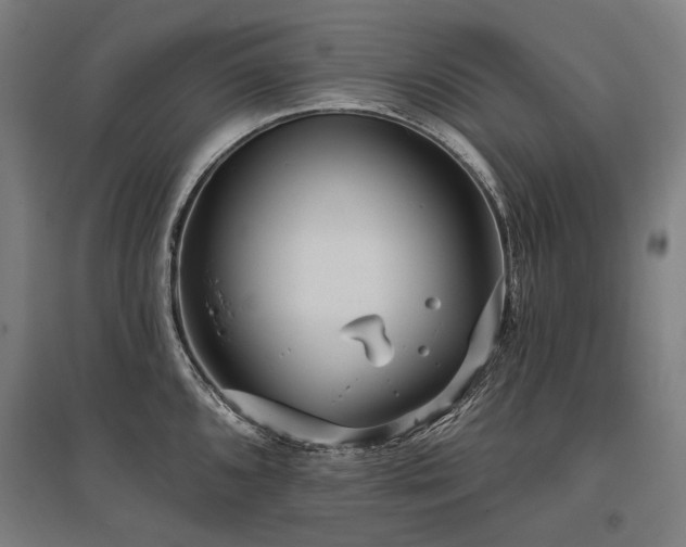 X0000096151096200801181157