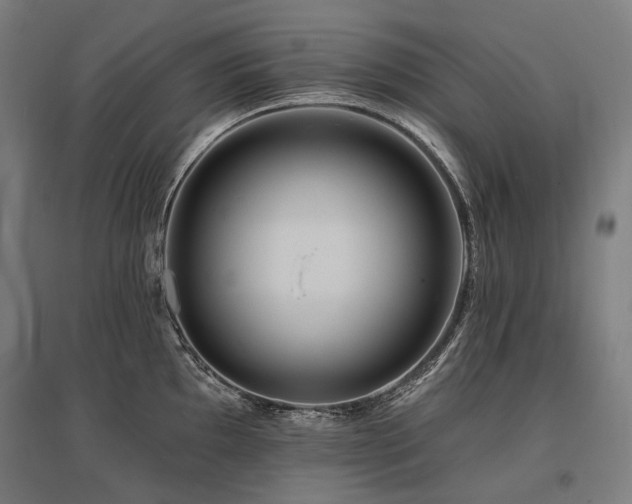 X0000096151097200801181157