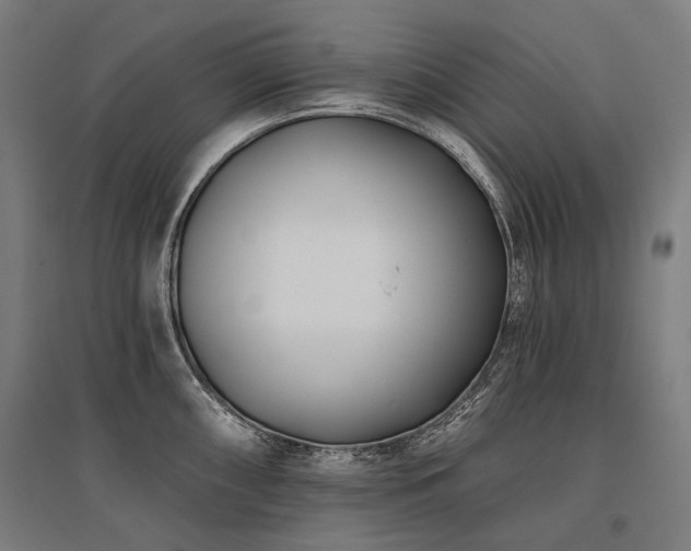 X0000096151098200801181157