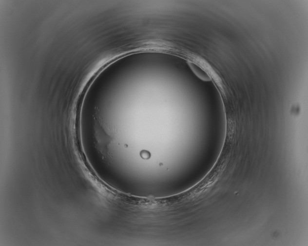 X0000096151099200801181157