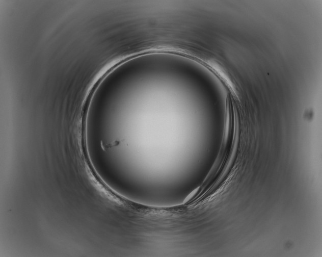 X0000096151100200801181157