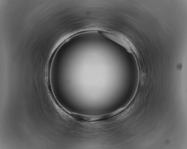 X0000096151101200801181157