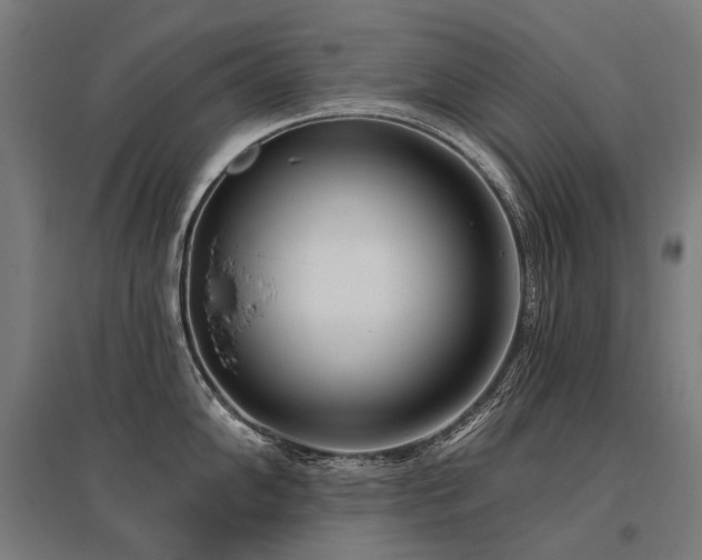 X0000096151102200801181157
