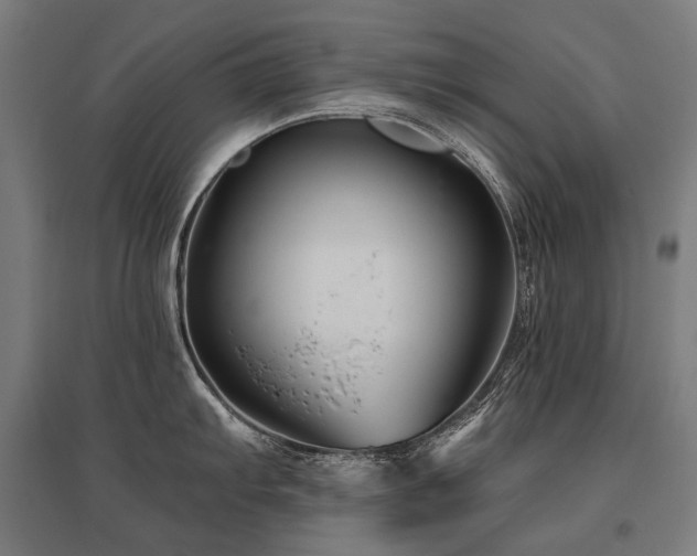 X0000096151103200801181157