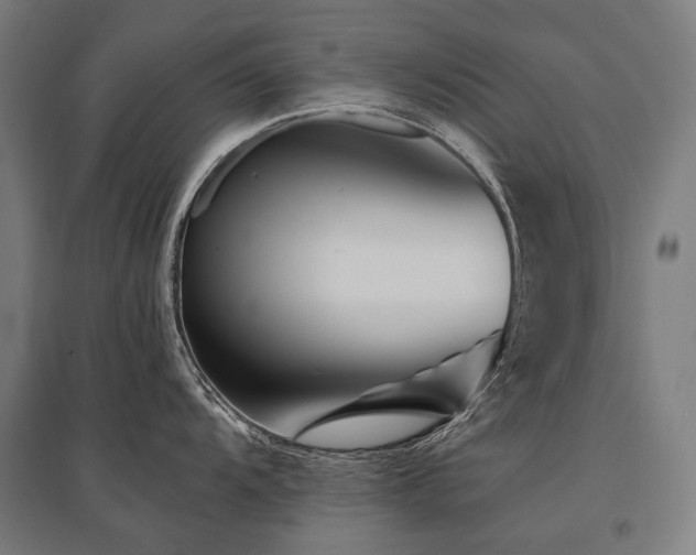 X0000096151104200801181157