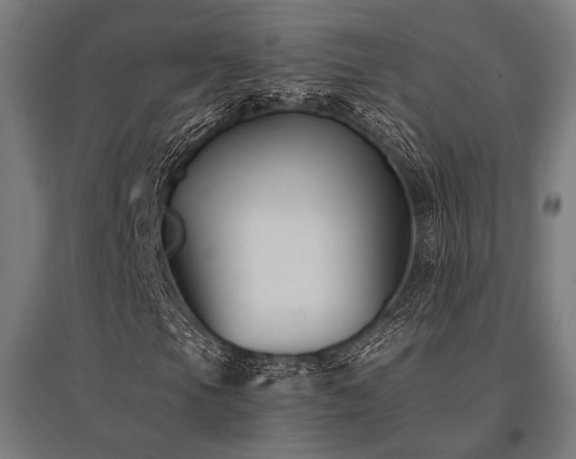 X0000096151105200801181156