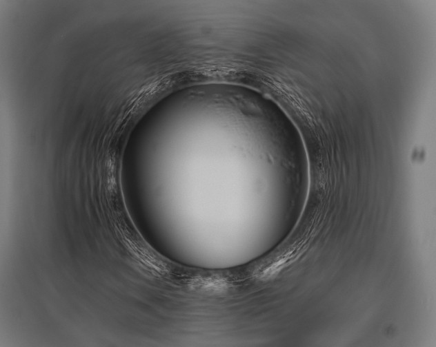 X0000096151106200801181156