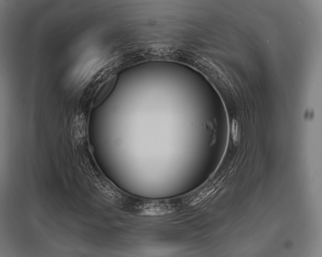 X0000096151107200801181156