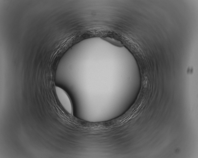 X0000096151108200801181156