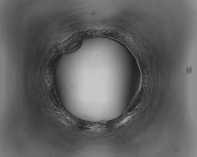 X0000096151109200801181156