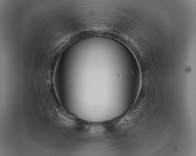 X0000096151110200801181156