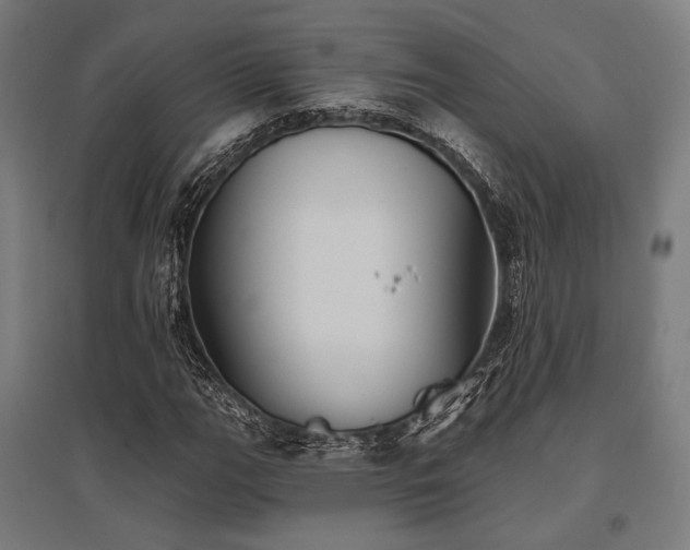 X0000096151111200801181156