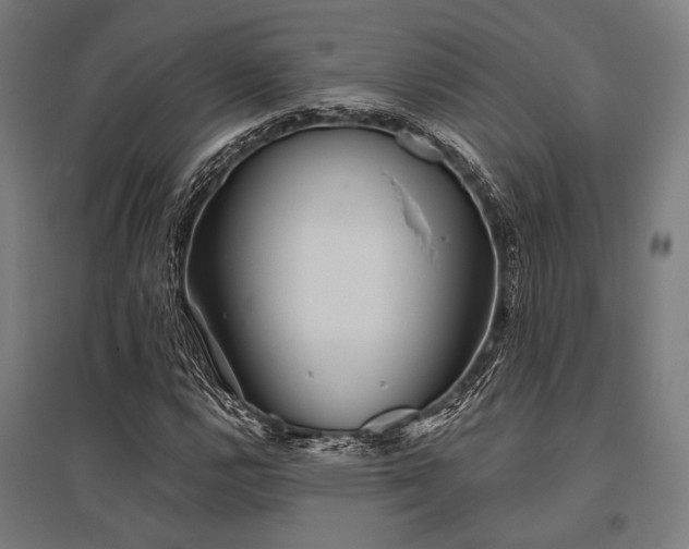 X0000096151112200801181156