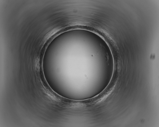 X0000096151113200801181156