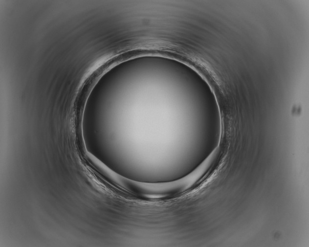 X0000096151114200801181156