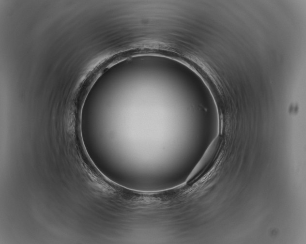 X0000096151115200801181156