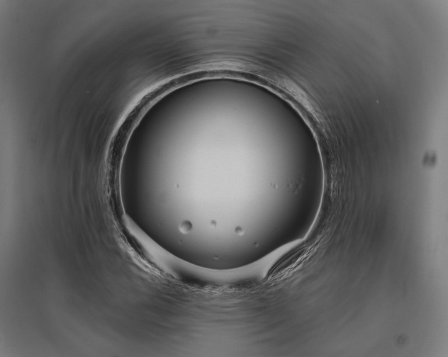 X0000096151116200801181156