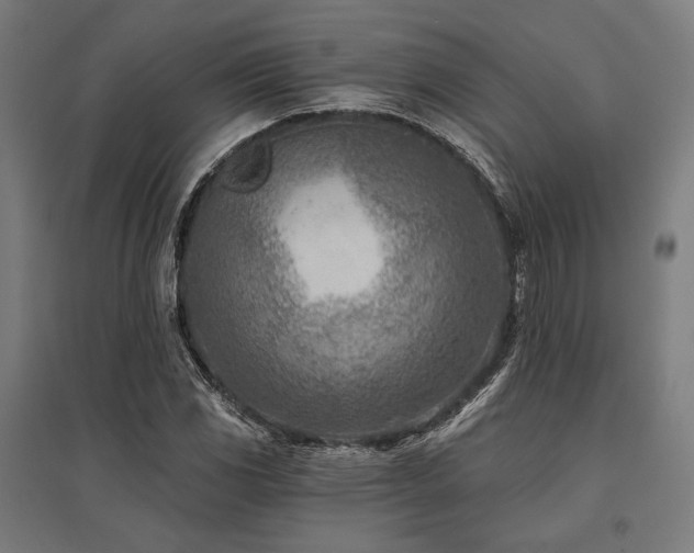 X0000096151117200801181156