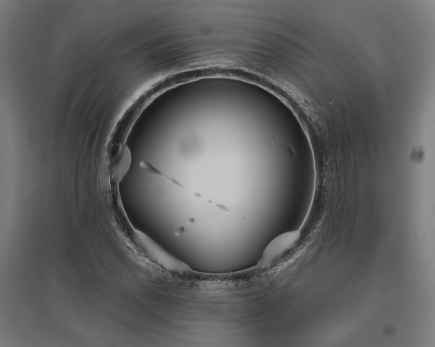 X0000096151118200801181156