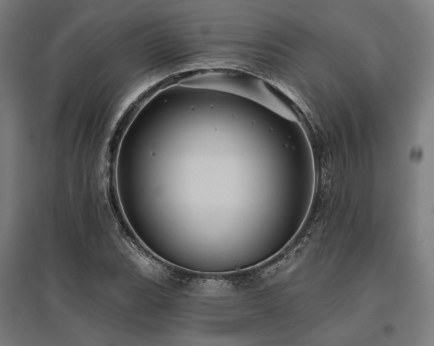 X0000096151119200801181156