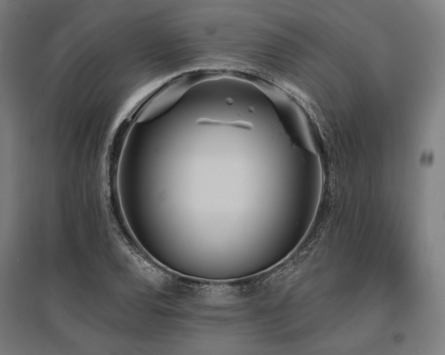 X0000096151120200801181156