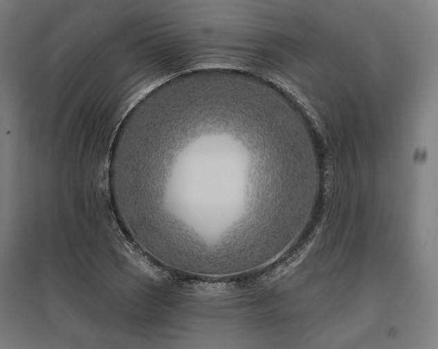 X0000096151121200801181156