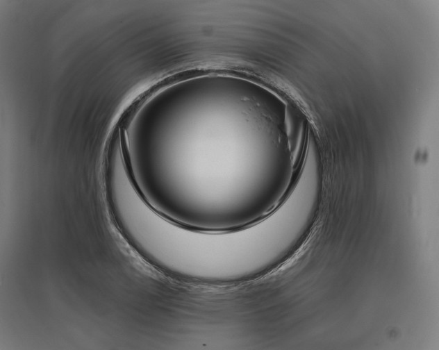 X0000096151122200801181156