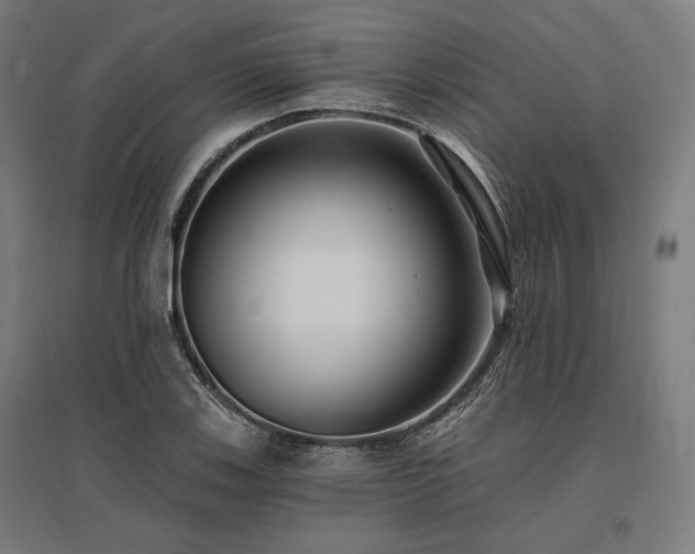 X0000096151123200801181156