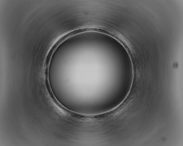 X0000096151124200801181156