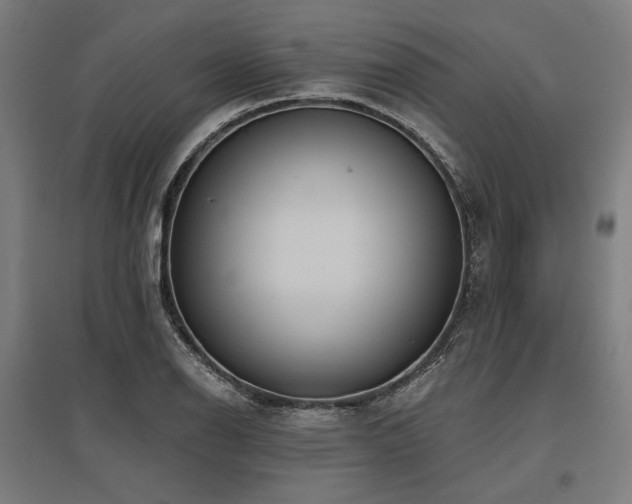 X0000096151126200801181156